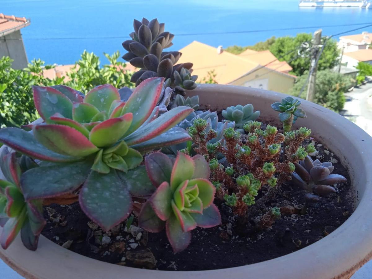 Apartman Antonio Trogir Luaran gambar